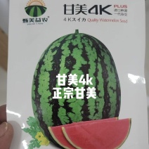 甘美4KF1西瓜种子进口种源皮薄含糖量15度耐裂性强易坐