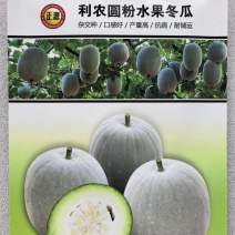 冬瓜种子利农圆粉水果冬瓜杂交种口感好产量高抗病耐运