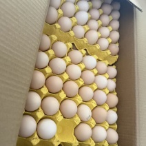 土鸡蛋