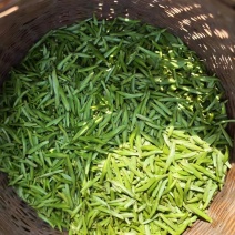 西湖龙井、高山绿茶