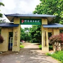 神奇的忧遁草