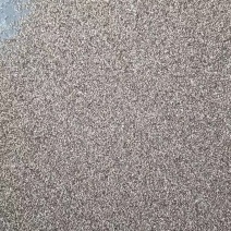 【精品党参种子】货源充足量大从优质量保证欢迎咨询