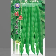 青棒豆豆角种子蔓生鲜荚绿色农家庭院均可种植蔬菜种子