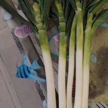 大葱
