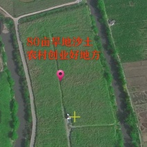80亩旱地