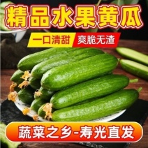《一件代发》荷兰小黄瓜水果黄瓜无刺小黄瓜对接各大电商平台