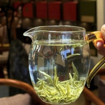 2026年都匀毛尖明前茶叶头茬