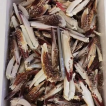 各种蟹钳