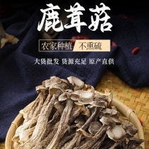 厂家货源新货切根鹿茸菇鹿茸菌各种规格电商货产地直发