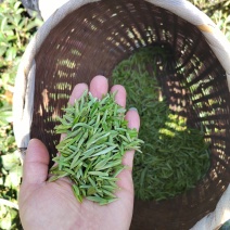 凤冈明前锌硒茶