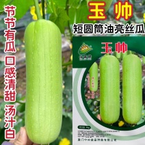 玉帅丝瓜种子短圆筒形白丝瓜种籽节节有瓜口感清甜汤汁白