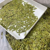明前龙井茶