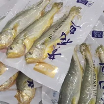 三去中黄花鱼