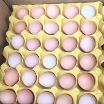 鸡蛋