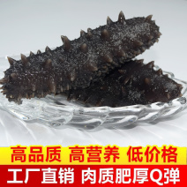 即食海参辽参底播参品质货源支持贴牌定制高品质深海海参大连