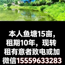 鱼塘，土地，房屋共50亩，转租，十年！价格优惠！