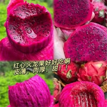 （金都一号）红心火龙果/电商货源，一件代发，淘宝，抖音