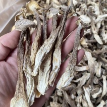 云南菌子王国高山鹿茸菇干货