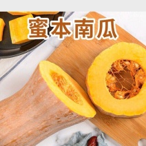 金韩密本南瓜苗香芋南瓜苗贝贝小南瓜苗免费技术指导包回收