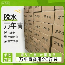 脱水万年青脱水蔬菜前期整颗万年青拌饭小青菜