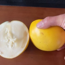 黄晶果
