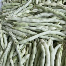 太空精品压塌架芸豆种子早熟高产抗病四季豆角架豆豆角蔬菜种