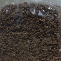 古田茶树菇