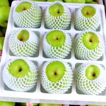 苏翠蜜梨