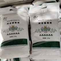 糌粑青稞粉
