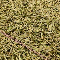 安吉白茶，