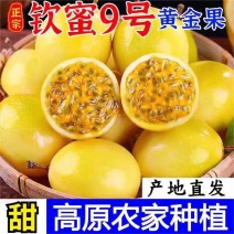 （百香果）广东黄金百香果/产地货源/保质保量/欢迎来电