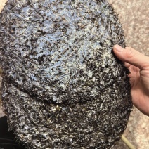 福建霞浦紫菜