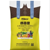 根蓓健含换黄腐酸钾水溶肥料生根壮秧厂家直发