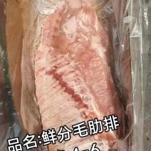 毛肋排