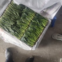 菠菜