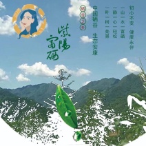 安康富硒茶徐小鳯的茶直供手工采摘海拔高金沙土干净