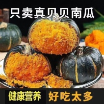 贝贝南瓜正宗真南瓜软糯香甜实力代发价格好