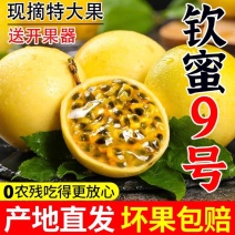 海南百香果钦蜜9号，批发对接电商一件代发坏果包赔