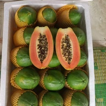 [牛]云南木瓜大量供应，一手货源，诚信经营，可对接电商一件代发