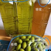 橄榄