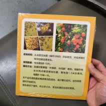 果实蝇粘板粘虫板/可有效控制虫害发生/厂家直发诚信经营