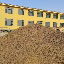 经营生物质颗粒，玉米芯颗粒及木质颗粒，月产能3000吨