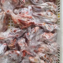 二级鸽子全净膛5-6的单只套袋