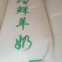 新鲜羊奶现挤现卖