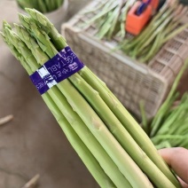 格兰德芦笋大量有货，精品货源产地直供，可与电商合作欢迎来