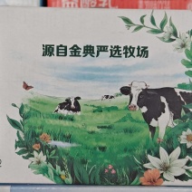 伊利经典牛奶