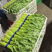 茼蒿