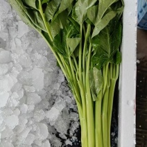 空心菜