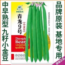 四季豆种子青龙9号小金豆种子中早熟四季豆豆角种籽架豆种子