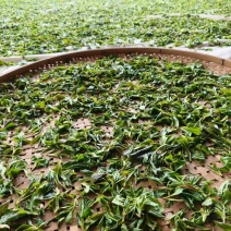 红茶